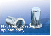 Flat Head Closed End Splined Body Rivet Nuts