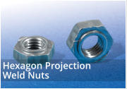 Heaxagon Projection Wels Nuts Din 929