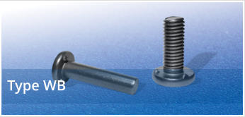 Projection Weld Bolts and Pins